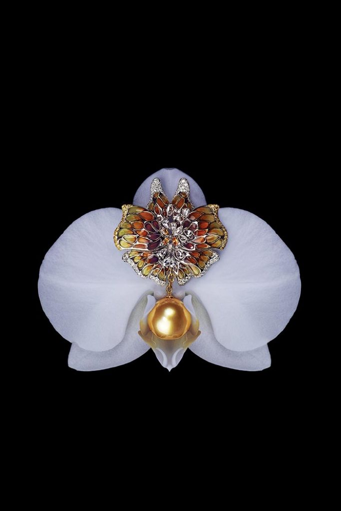 Feng. J - Broche "Rêve de papillon" en or, saphirs, diamants, émail et perle