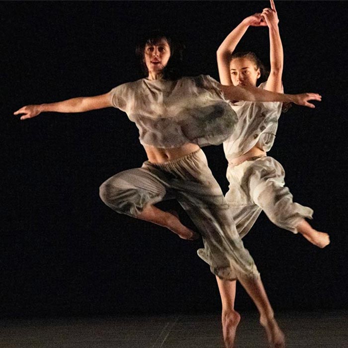 dance-reflexion-van-cleef-mise-en-avant
