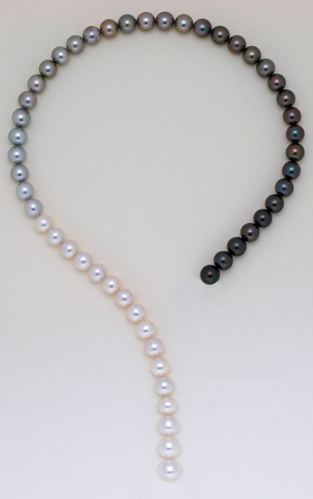 Porchet - Perles de Tahiti